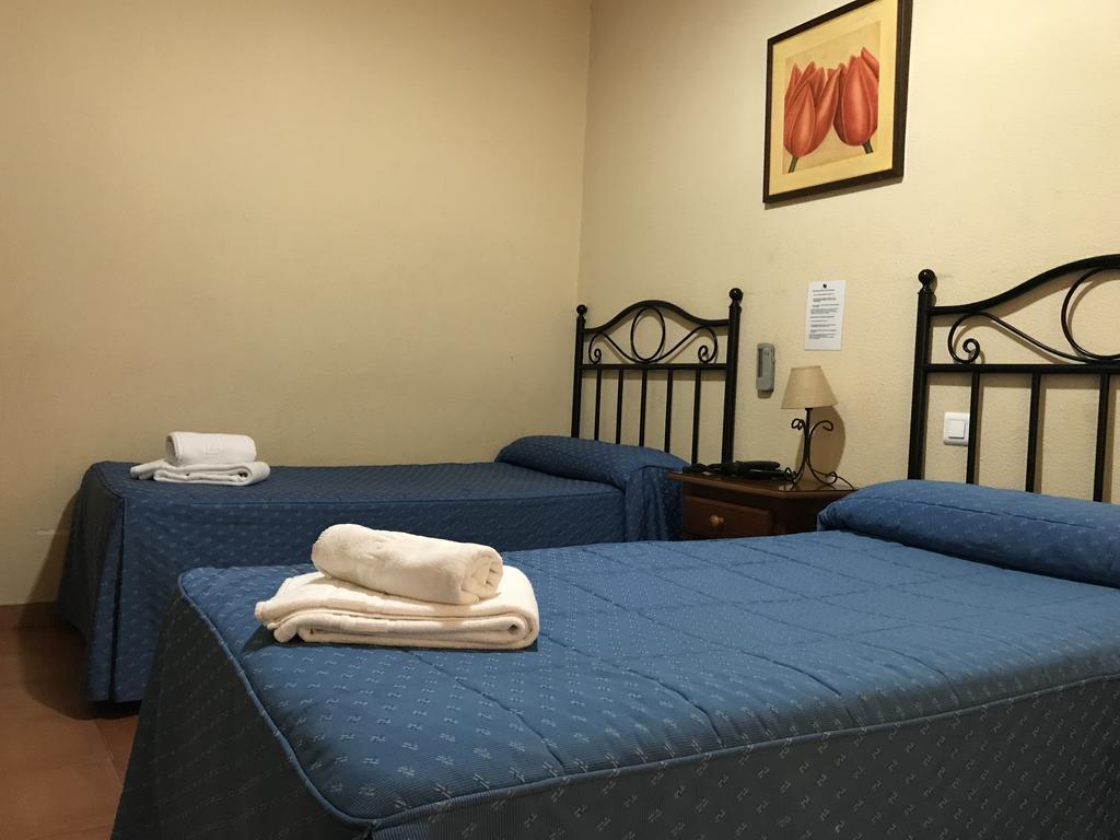 Double or Twin Room,443514762:JPEG